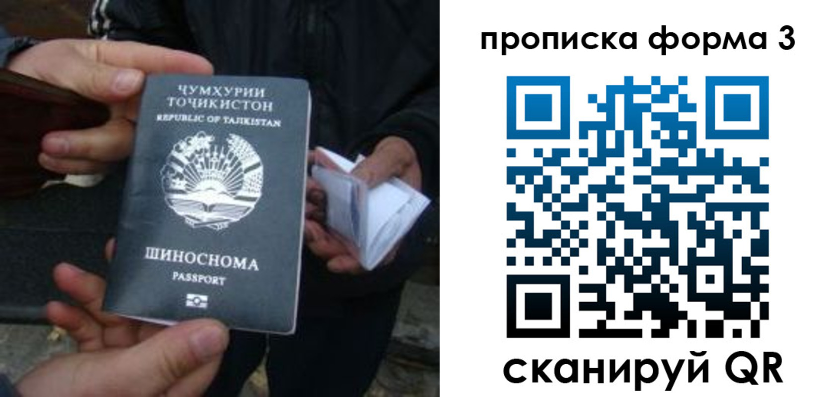 прописка 2025 в Нытве